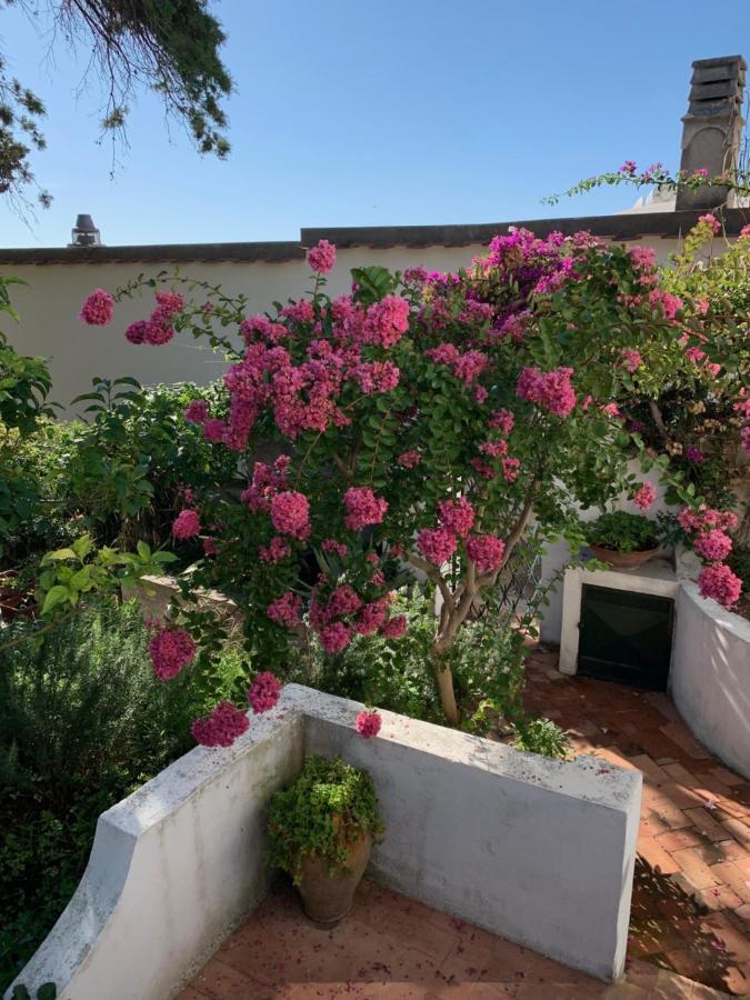 Il Geranio Bed and Breakfast Anacapri  Buitenkant foto