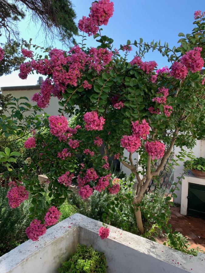 Il Geranio Bed and Breakfast Anacapri  Buitenkant foto